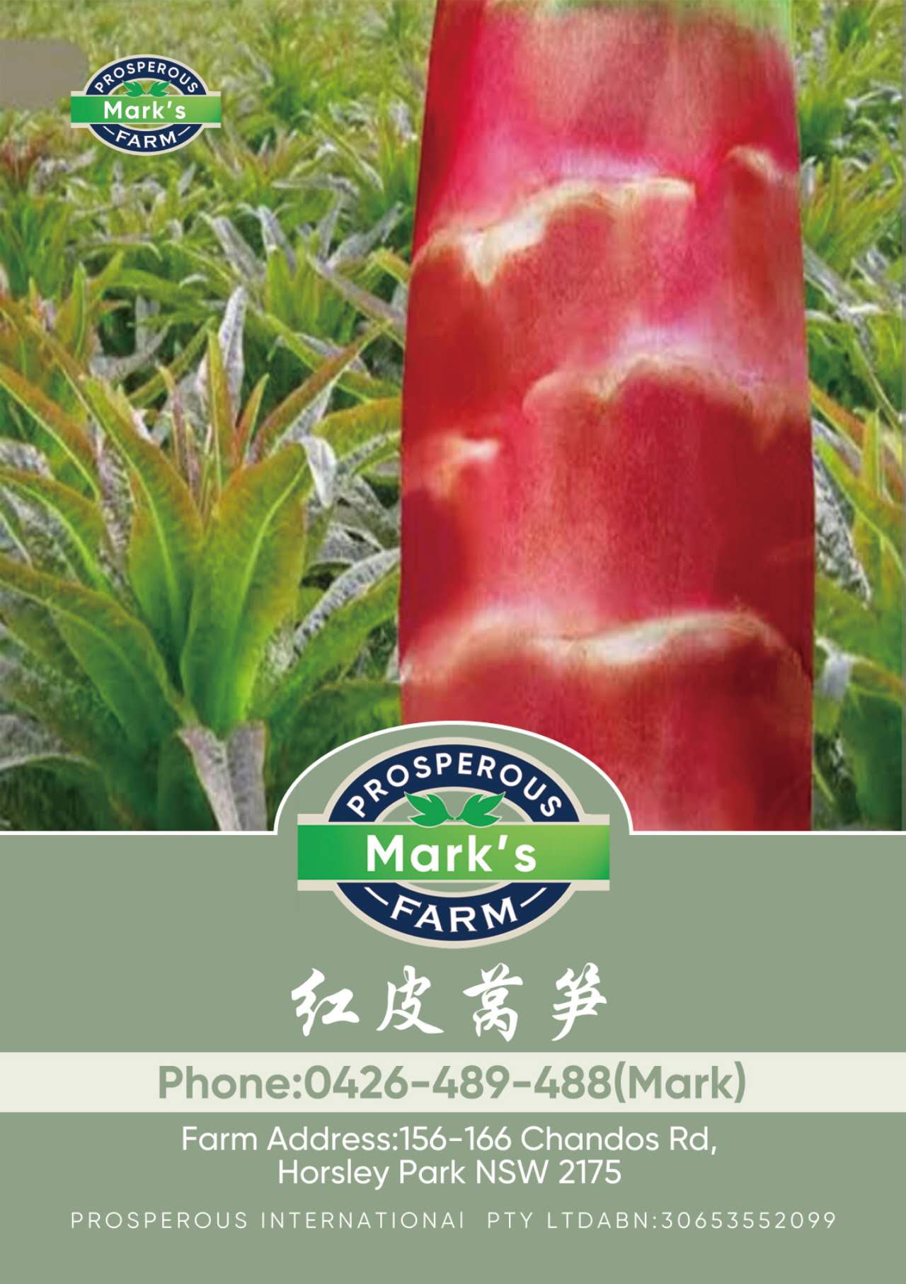 Plant image