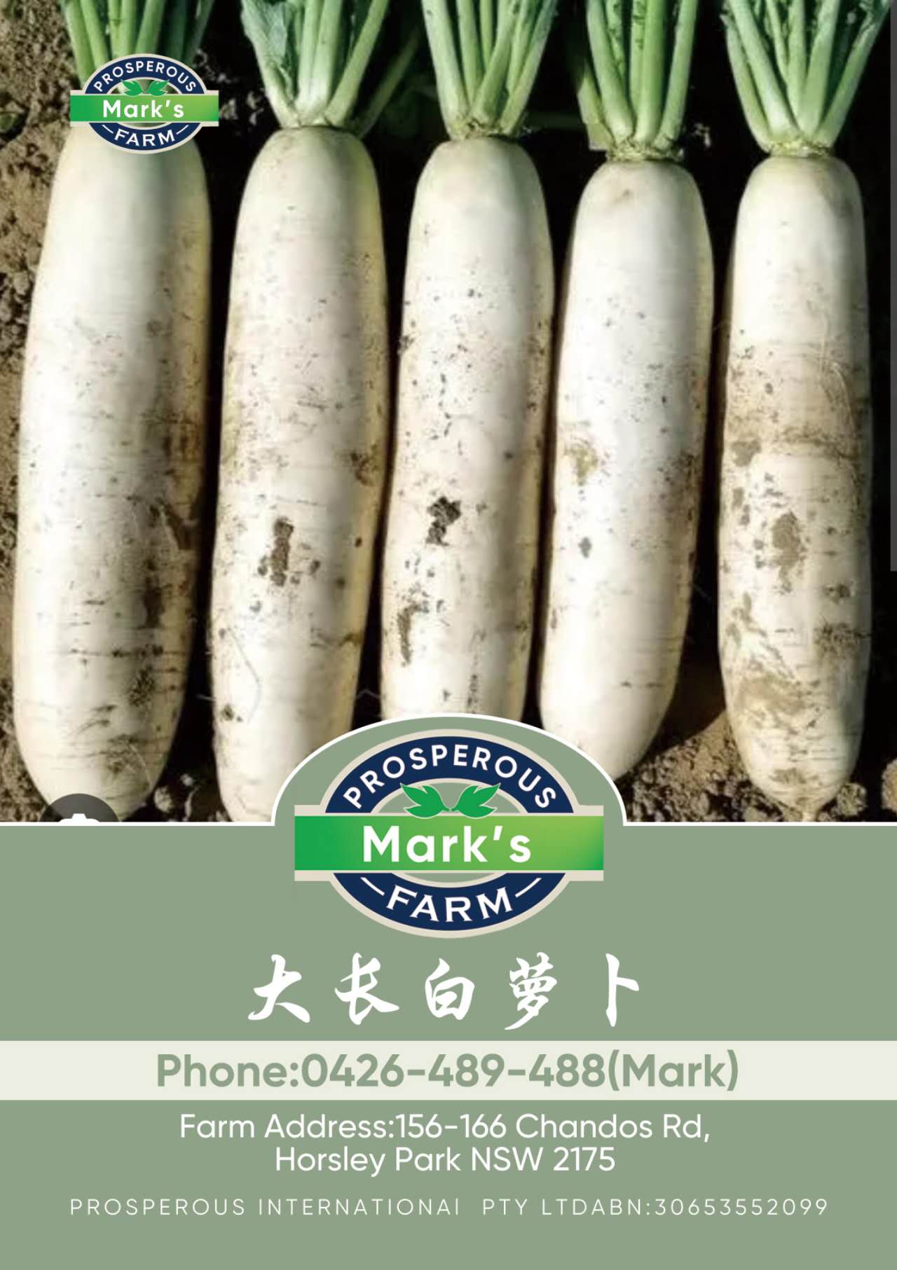 Plant image