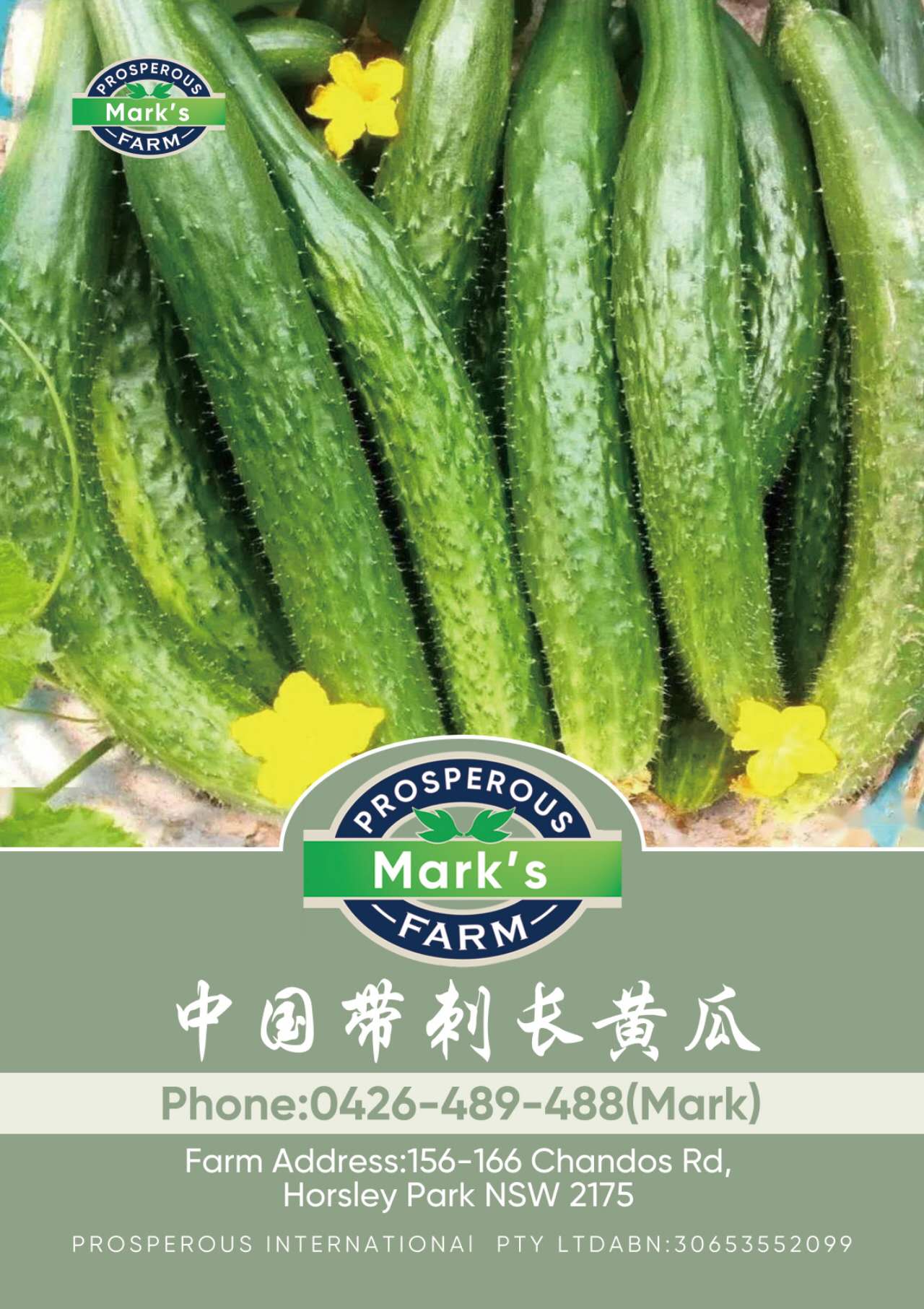 Plant image