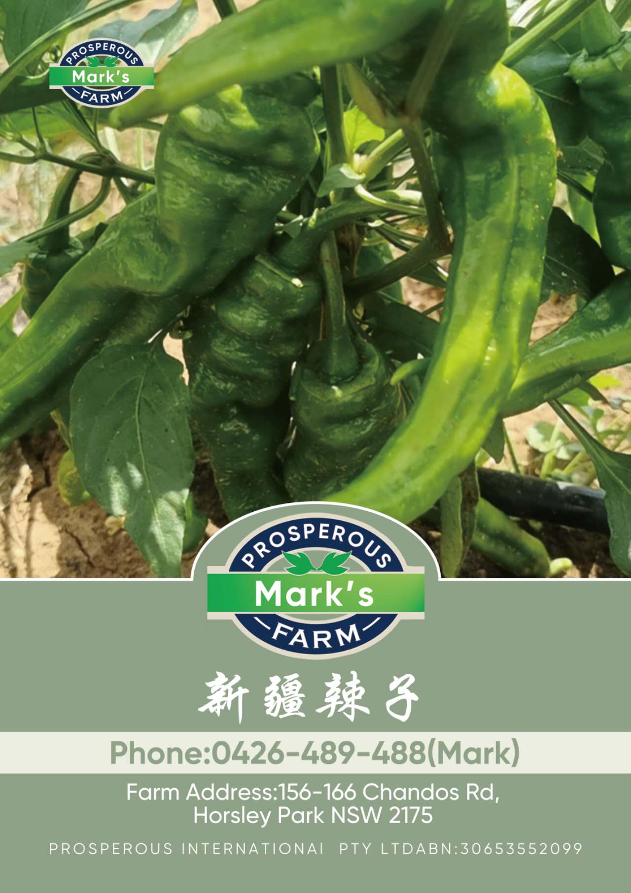 Plant image