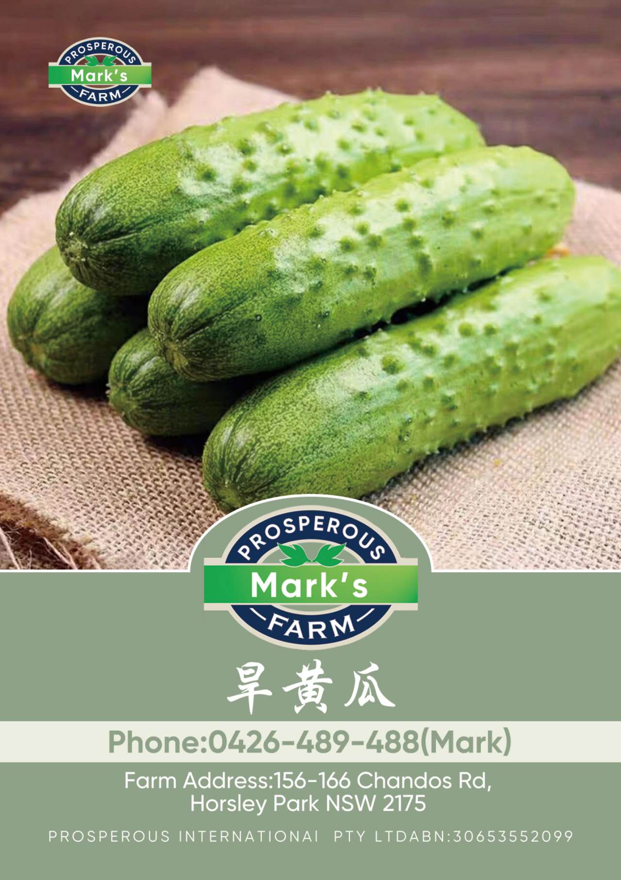 Plant image
