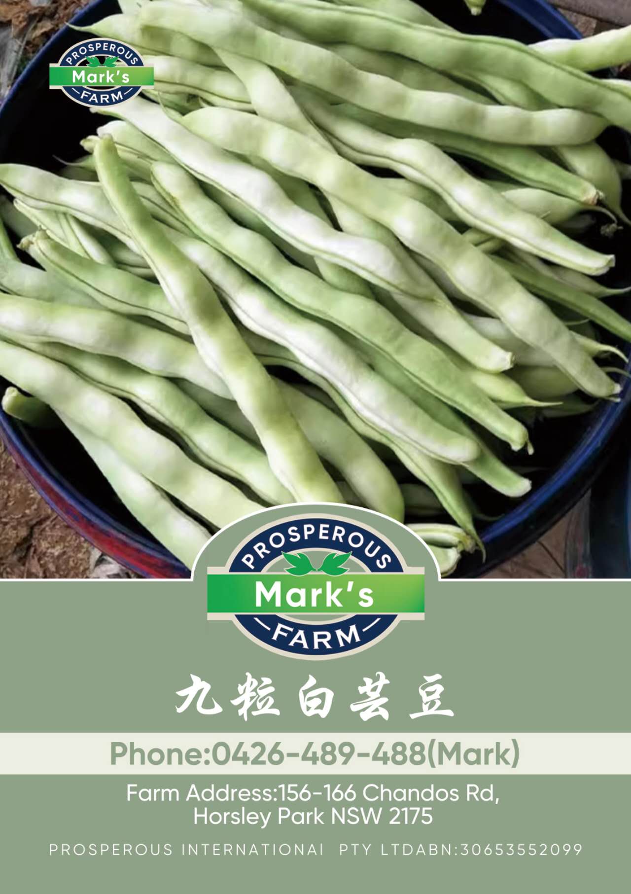 Plant image